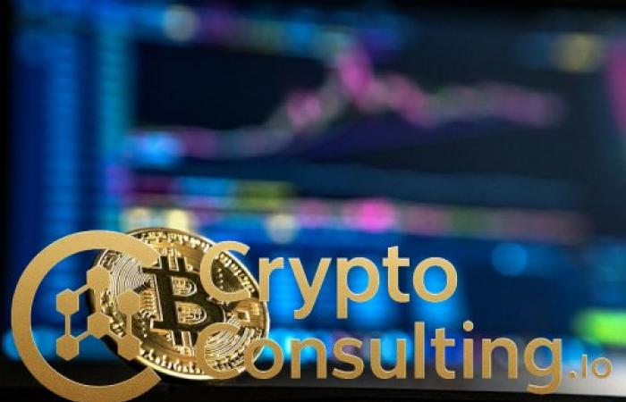 Bitcoin Reaches New All-Time High in Q4 2025: Institutional Adoption Drives Historic Rally