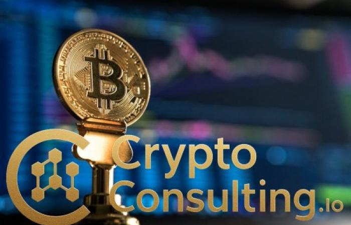 Bitcoin Reaches New All-Time High in Q4 2025: Institutional Adoption Drives Historic Rally