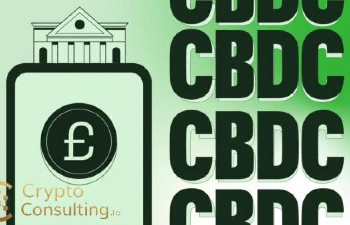 Central Banks Launch CBDC Pilots: 130 Countries Exploring Digital Payment Systems