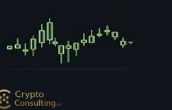 Understanding Cryptocurrency Trading: Essential Concepts for Beginners Including Market Orders, Limit Orders, and Stop Losses