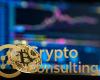 Bitcoin Reaches New All-Time High in Q4 2025: Institutional Adoption Drives Historic Rally