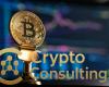 Bitcoin Reaches New All-Time High in Q4 2025: Institutional Adoption Drives Historic Rally