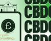 Central Banks Launch CBDC Pilots: 130 Countries Exploring Digital Payment Systems